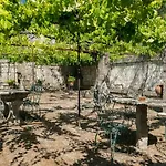 Casa De Pascoaes Historical House *