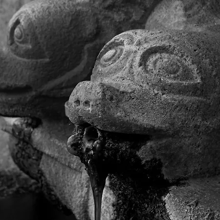 Casa De Pascoaes Historical House *