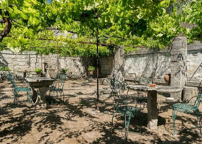 Casa De Pascoaes Historical House *