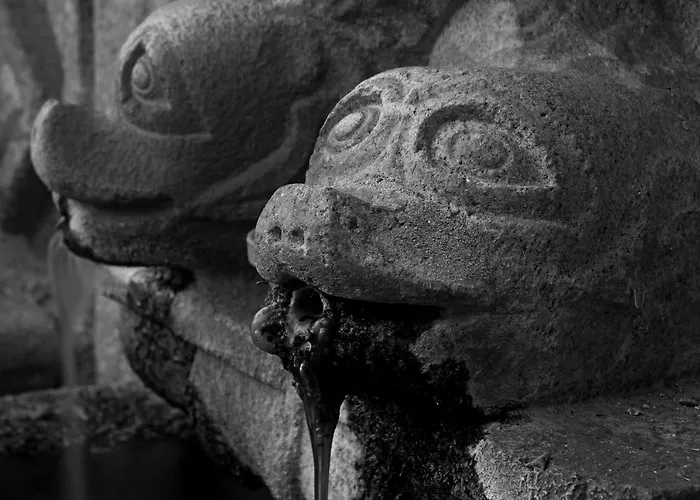 Casa De Pascoaes Historical House *